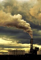 Environmental Pollution Causes Oxidative Stress