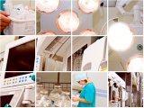 medical tourism india,