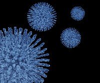 Glycoproteins,cell surface,proteins